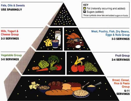 original food pyramid