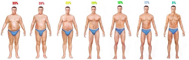 Men's Body Fat Percentages