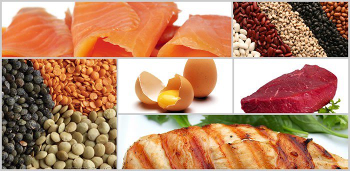 proteins for fat loss