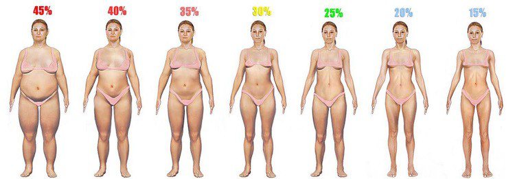 Body Fat Range For Women 7