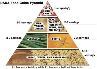 Understanding The Food Pyramid For Kids - Coachfactoryoutletcio