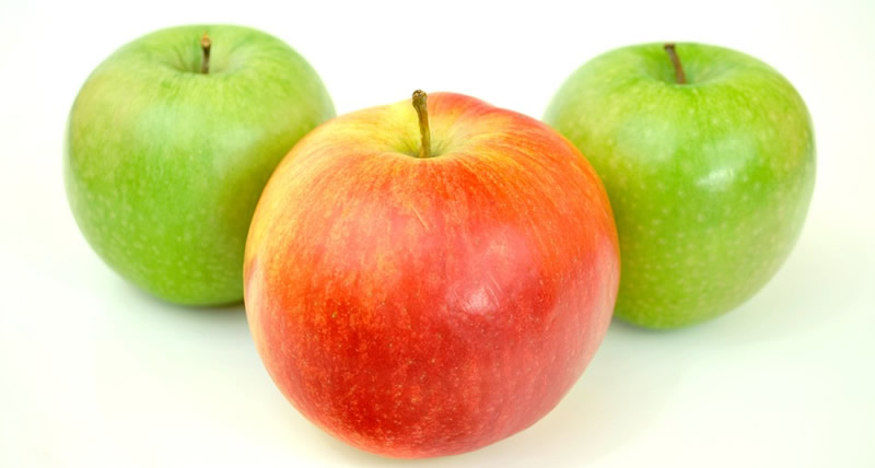 apple diet